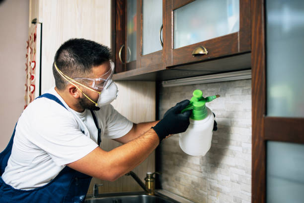 Best Exterminator Services  in Wamac, IL