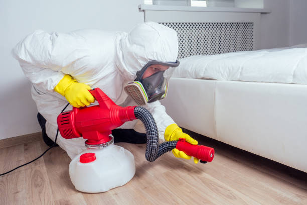 Best Local Pest Control Services  in Wamac, IL