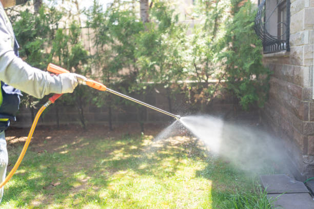 Best Affordable Pest Control Services  in Wamac, IL