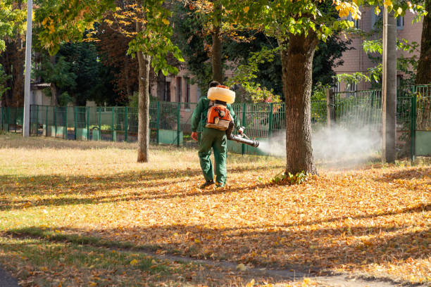 Best Spider Control Near Me  in Wamac, IL